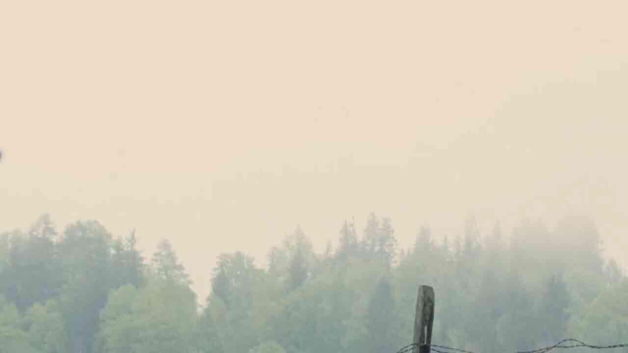 WOMENS CLP HERO - VIDEO - NOVEMBER - TURN 2