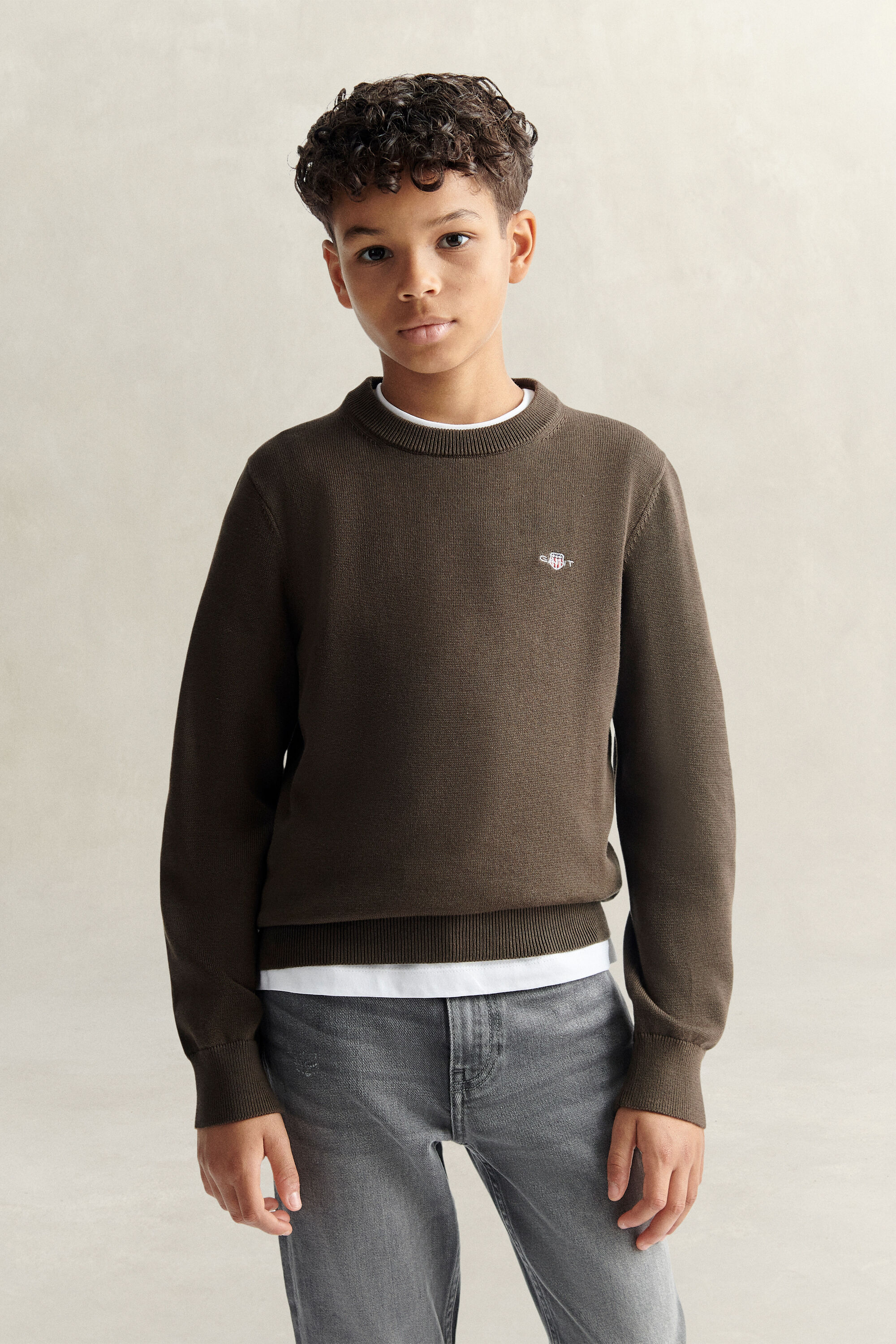 Teen Boys Shield Pullover