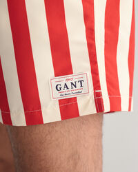 Badeshorts mit Blockstreifen