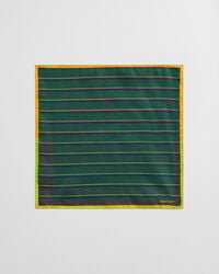 Gestreiftes Einstecktuch