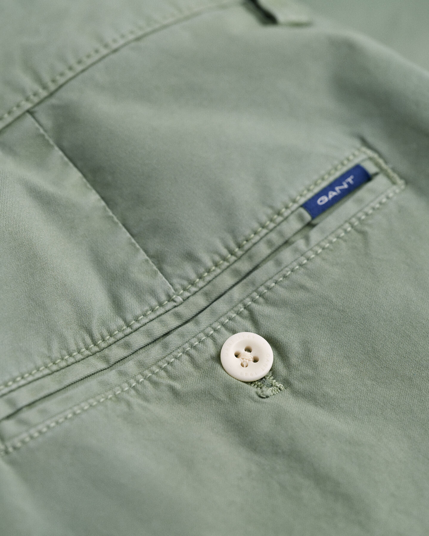 Allister Regular Fit Sunfaded Shorts