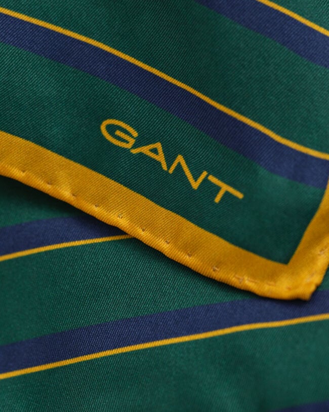 Gestreiftes Einstecktuch