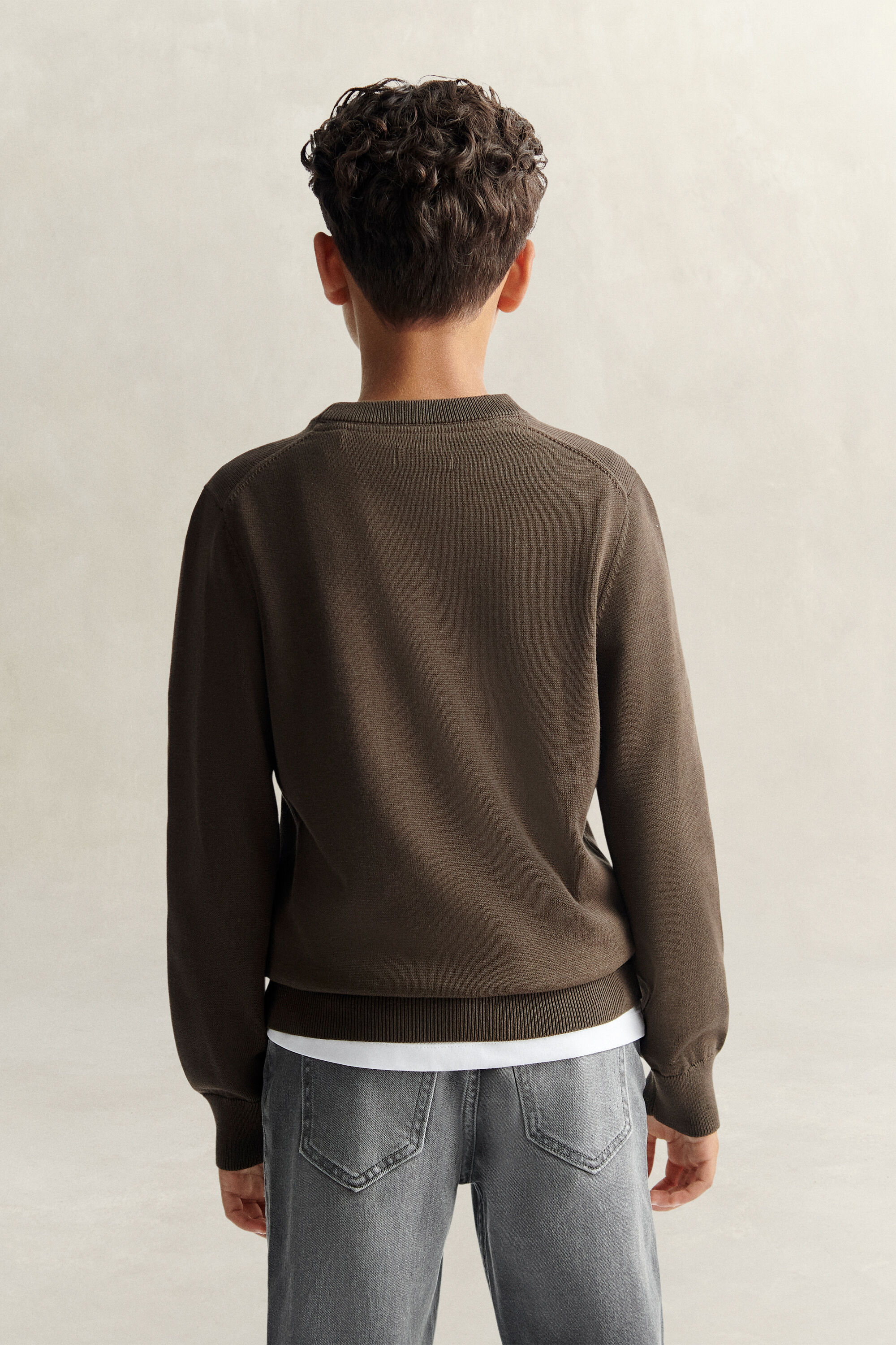Teen Boys Shield Pullover