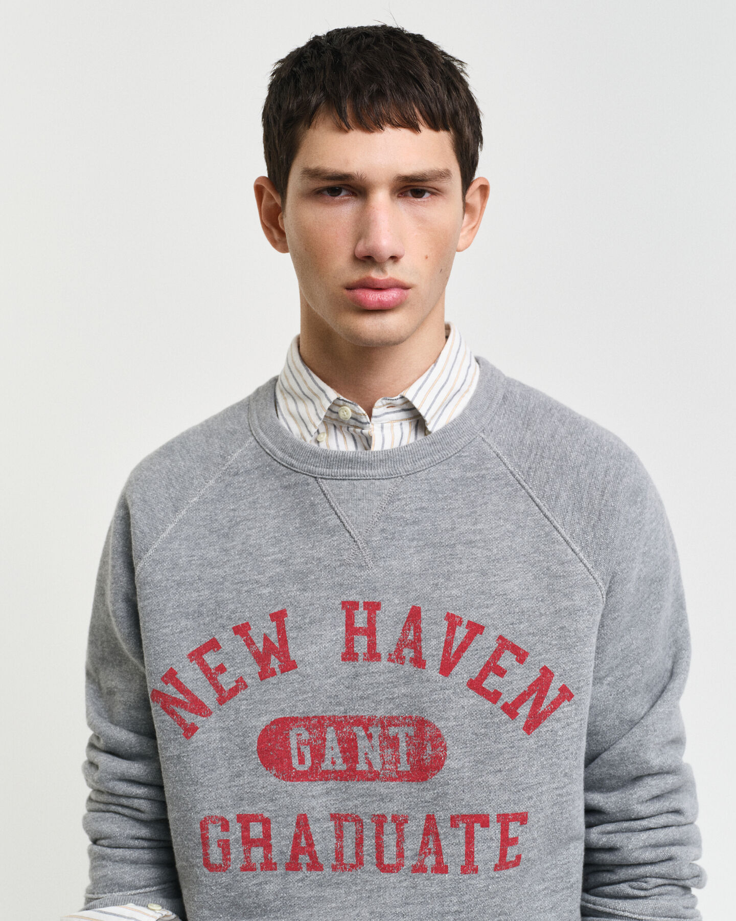 Graphic Rundhals-Sweatshirt