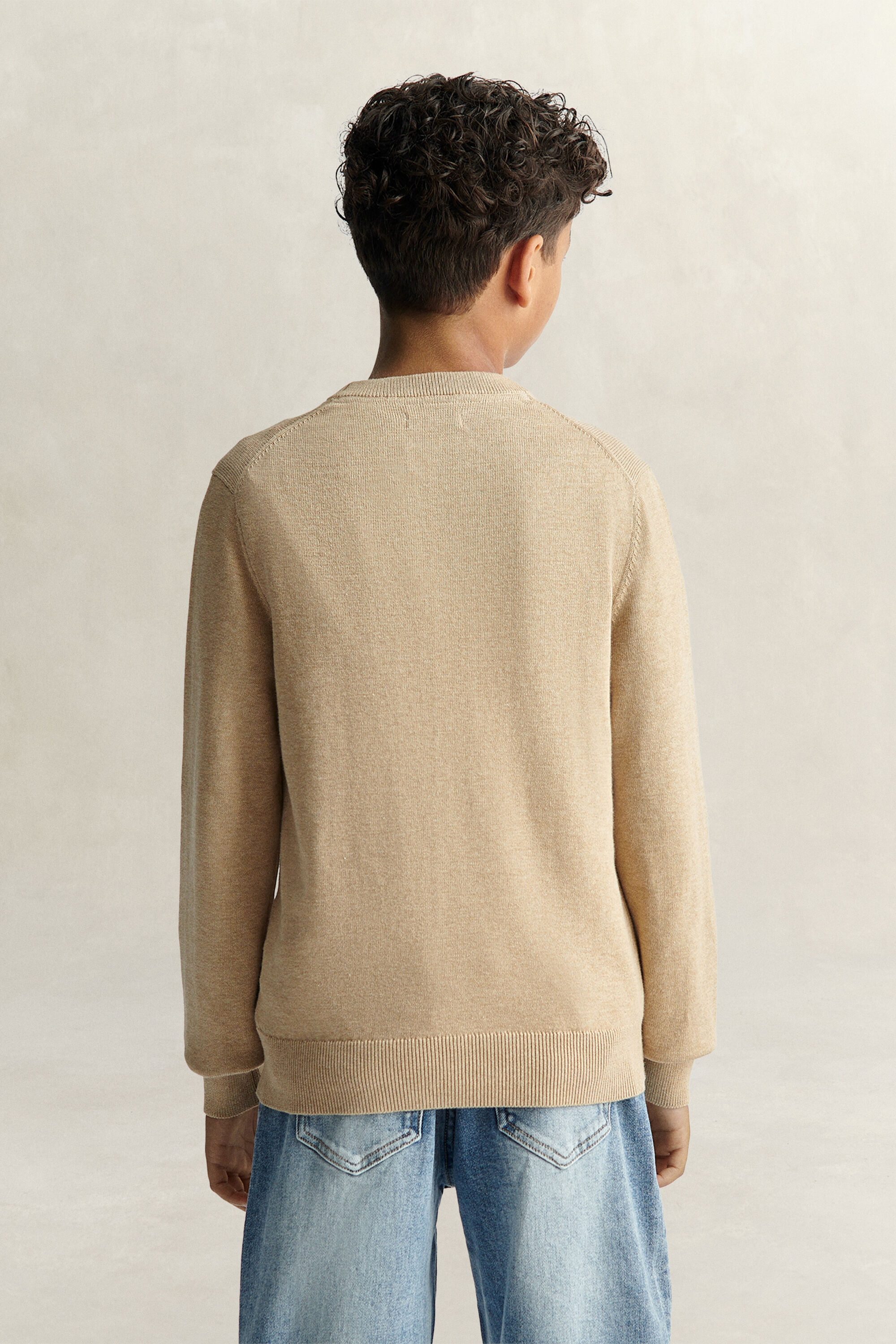 Teen Boys Shield Pullover