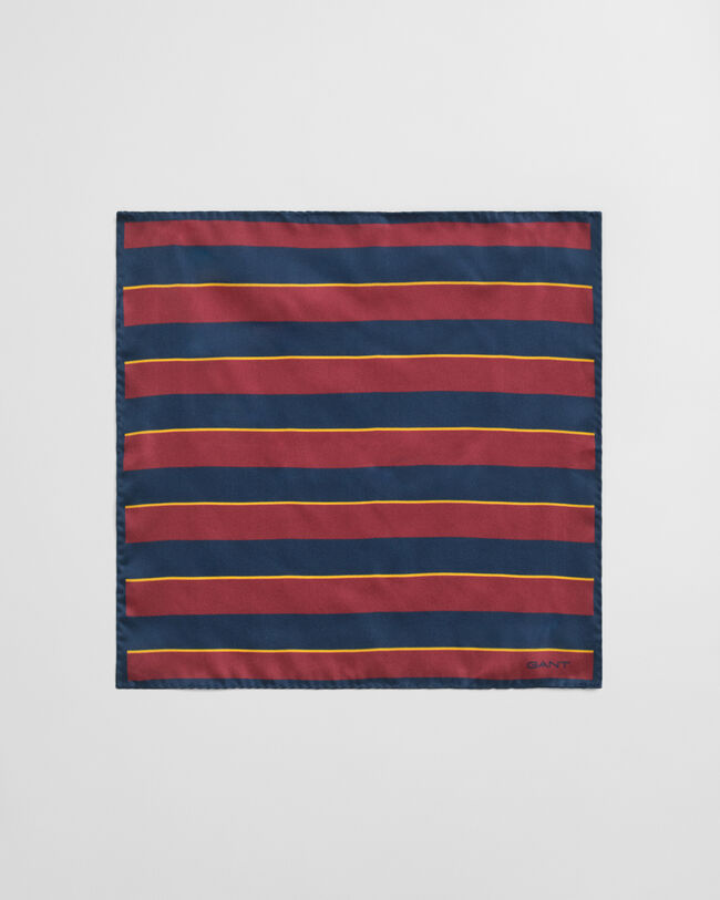 Gestreiftes Einstecktuch