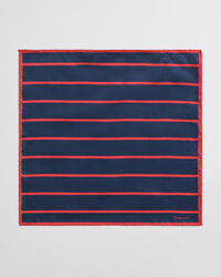 Gestreiftes Einstecktuch