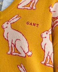 Lunar New Year V-Neck Pullover