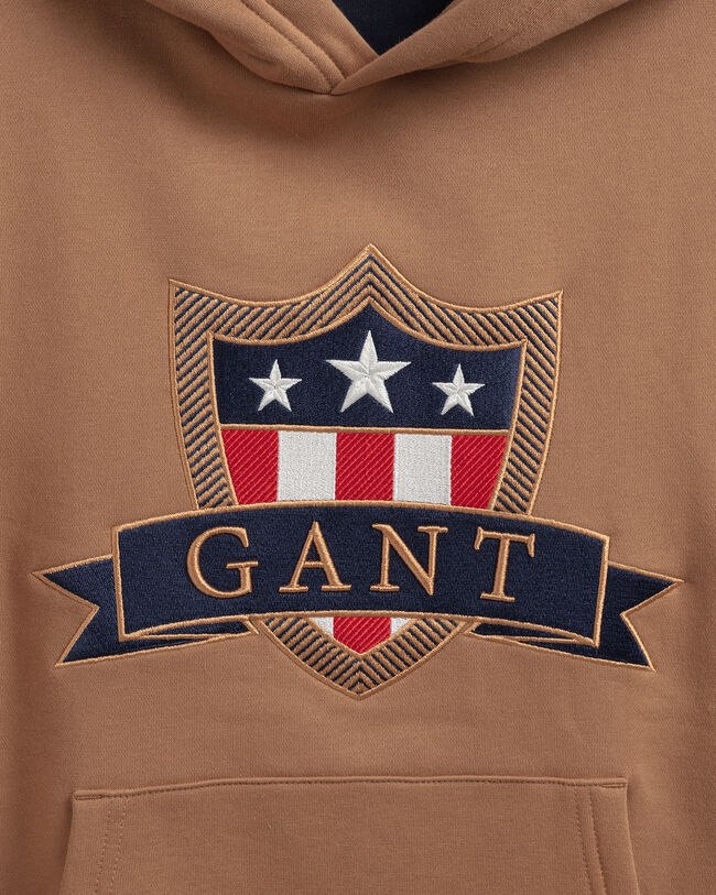 Teens Banner Shield Hoodie