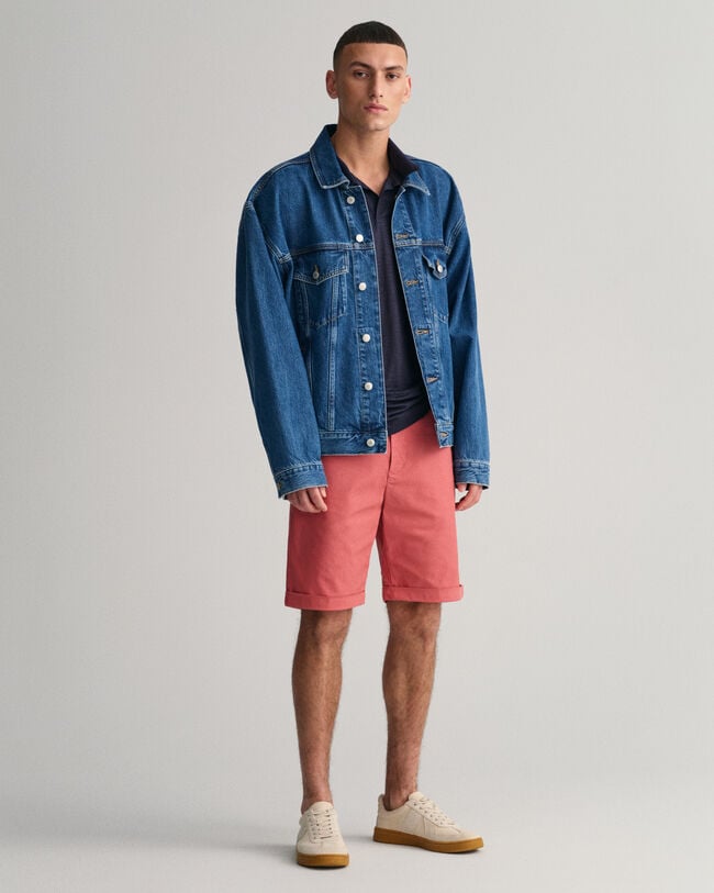 Allister Regular Fit Sunfaded Shorts