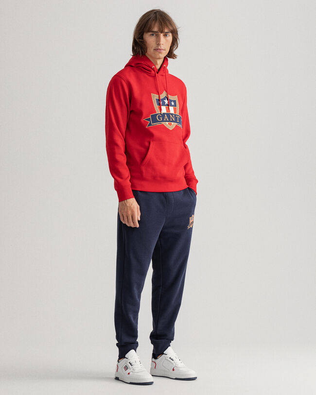 Banner Shield Hoodie