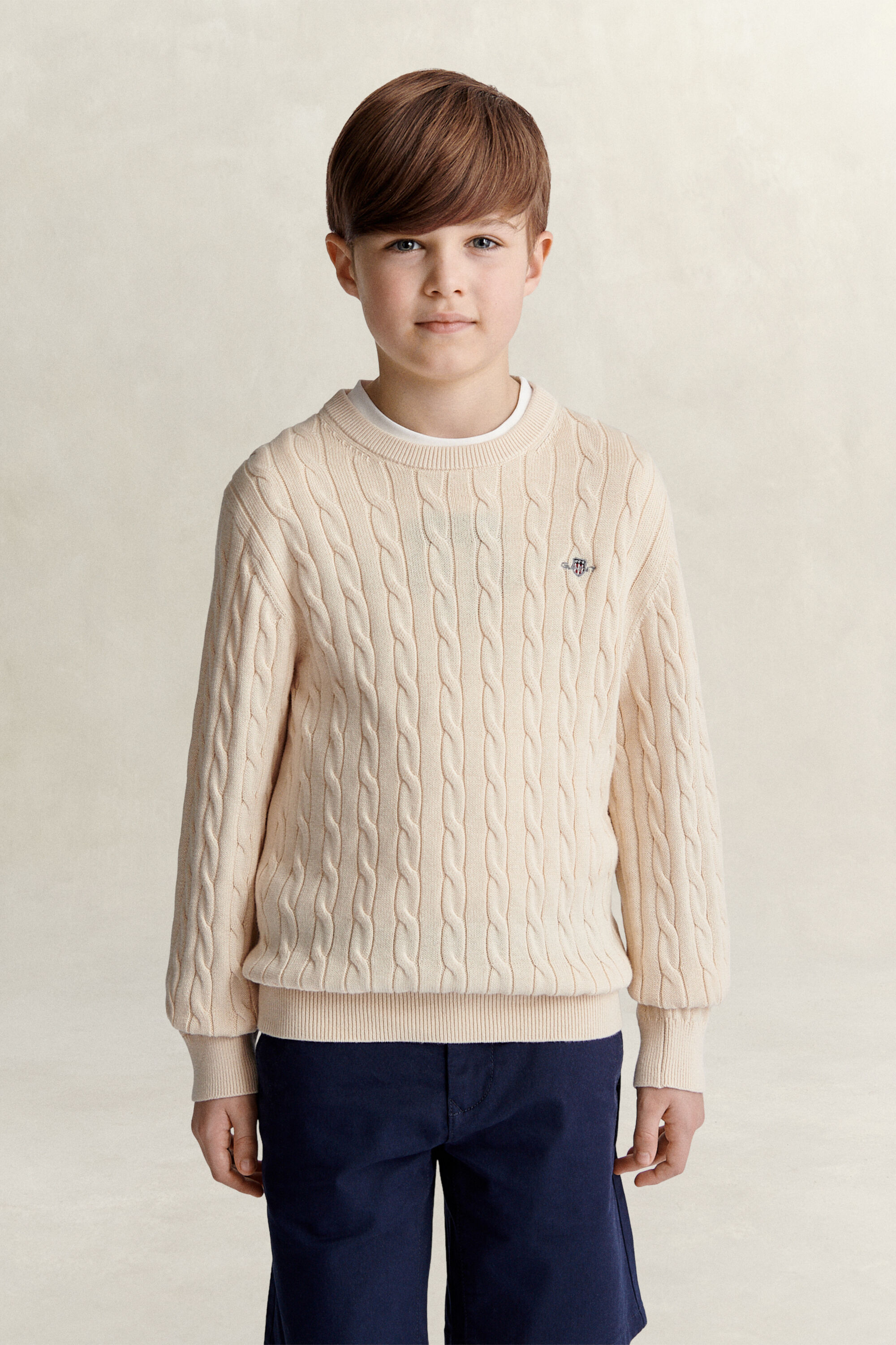 Teen Boys Shield Pullover