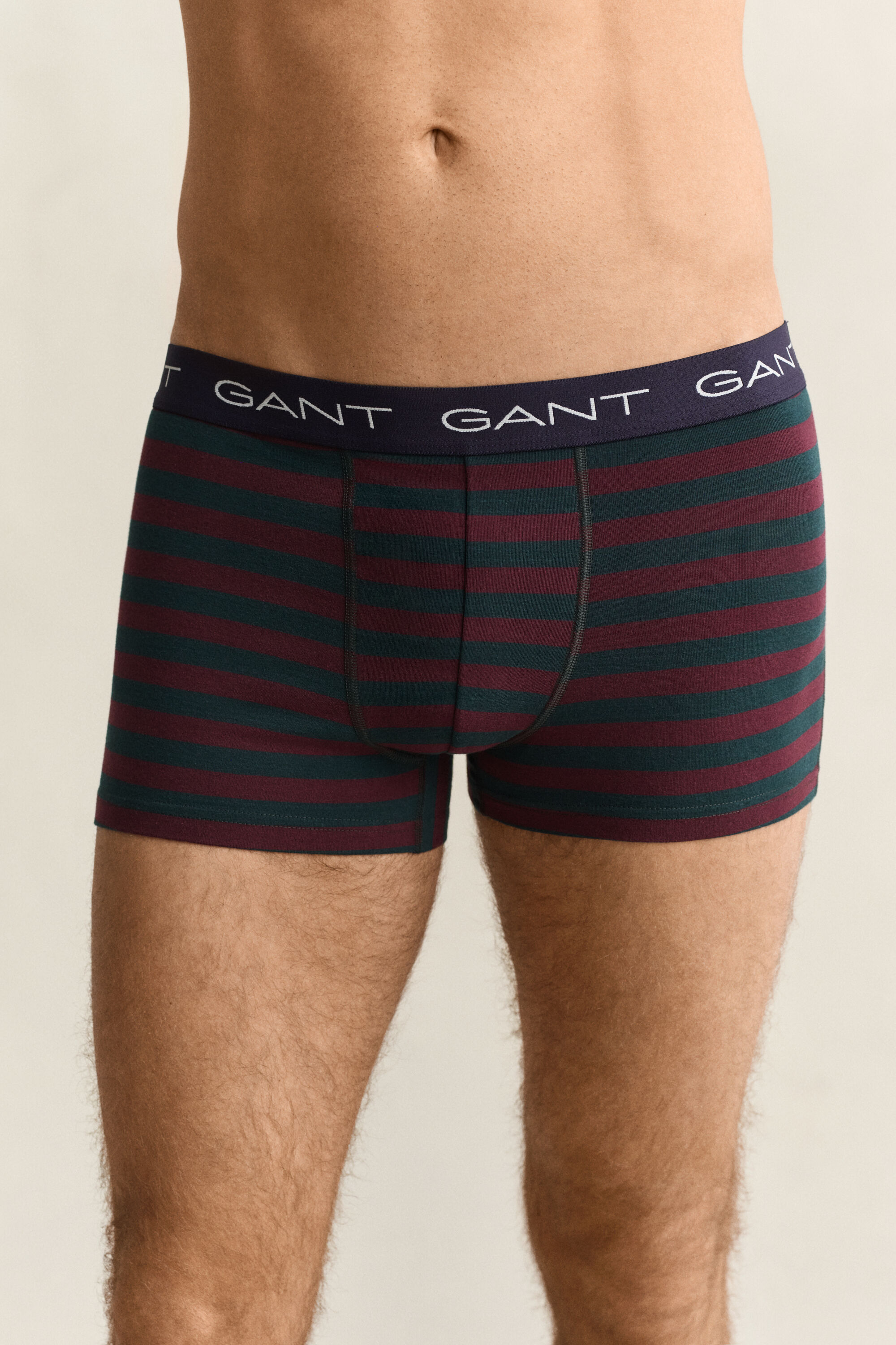3er-Pack Boxershorts mit Streifen in Geschenkbox