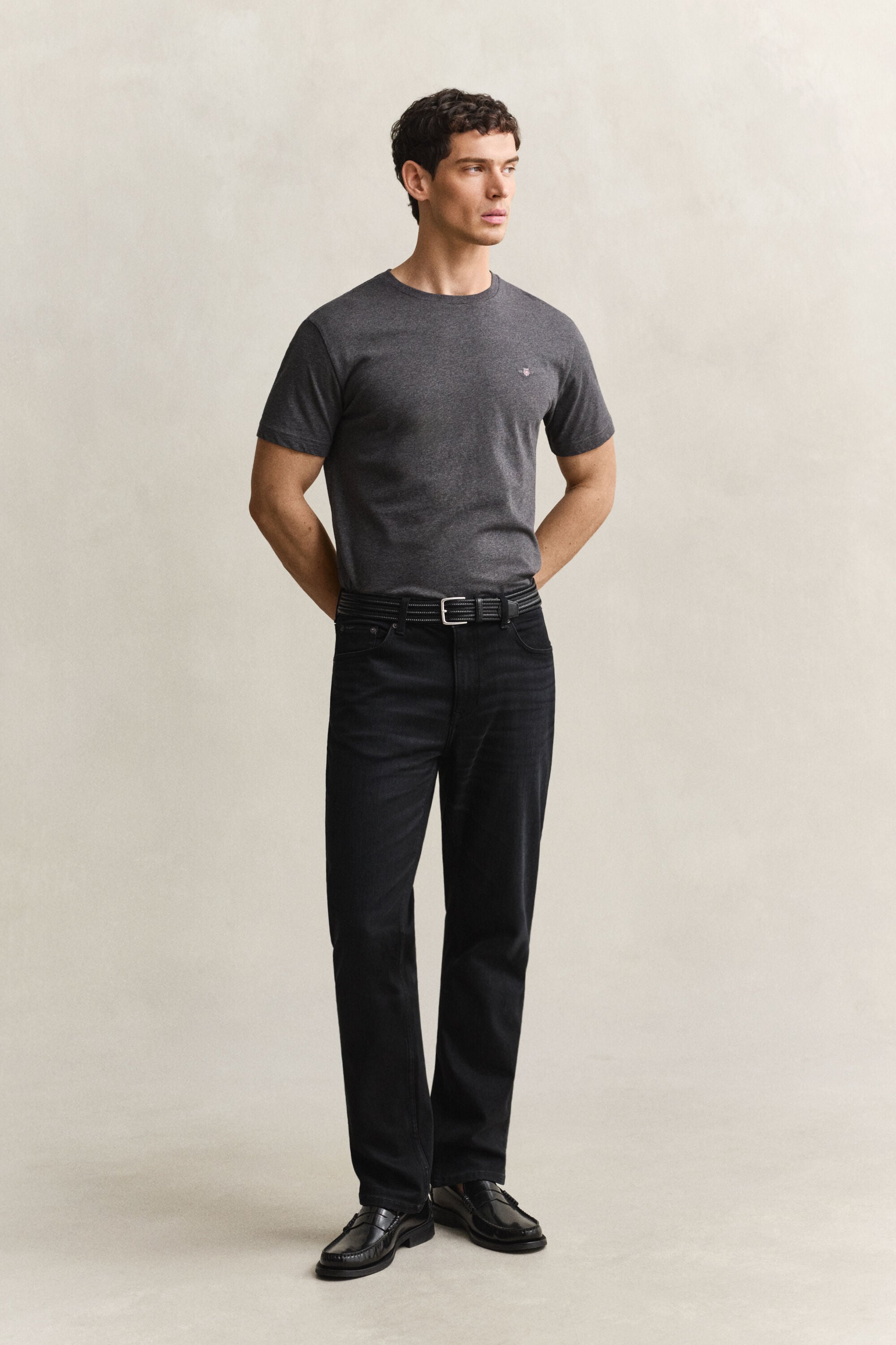 Regular Fit Shield T-Shirt