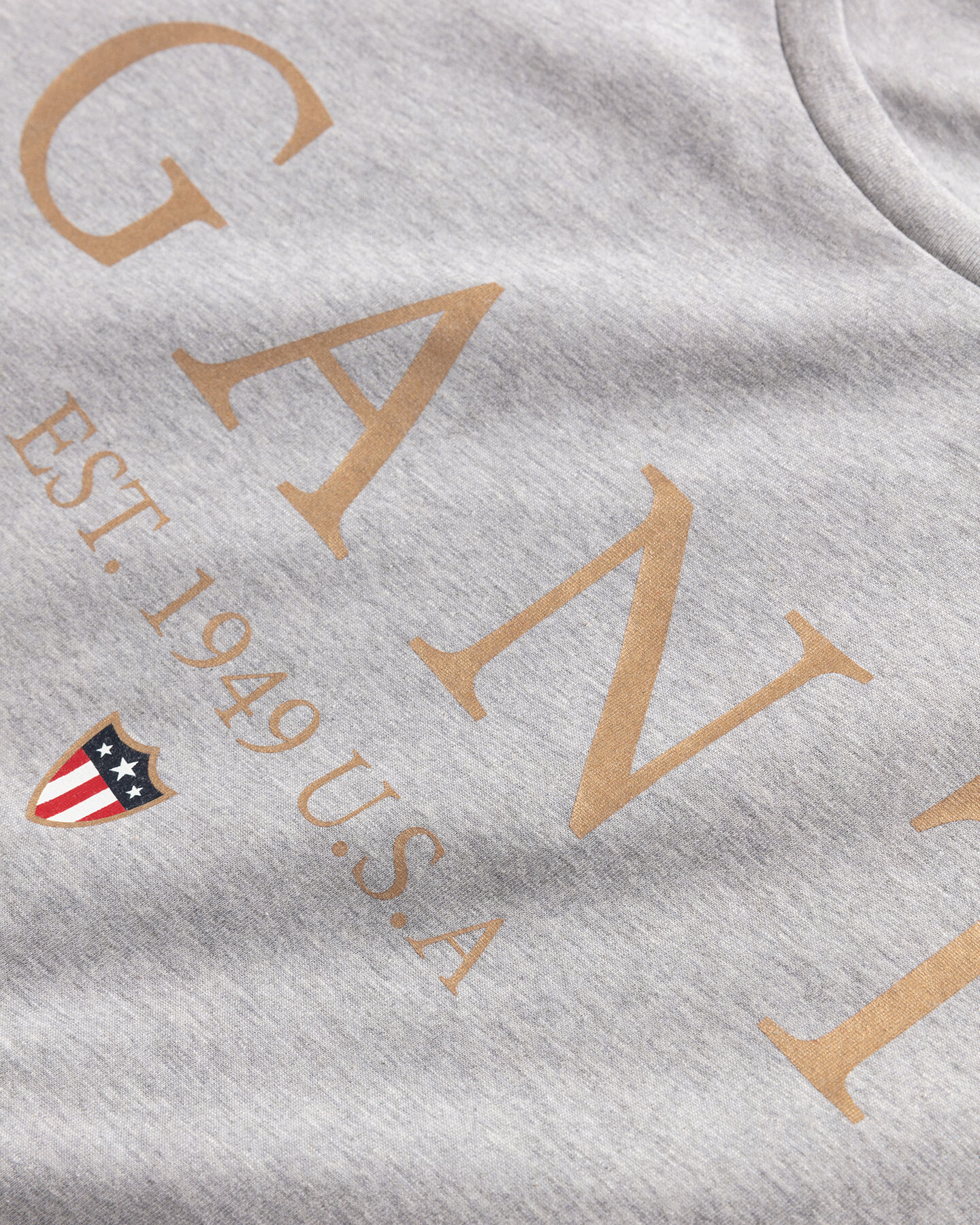 Banner Shield Graphic T-Shirt