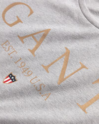 Banner Shield Graphic T-Shirt