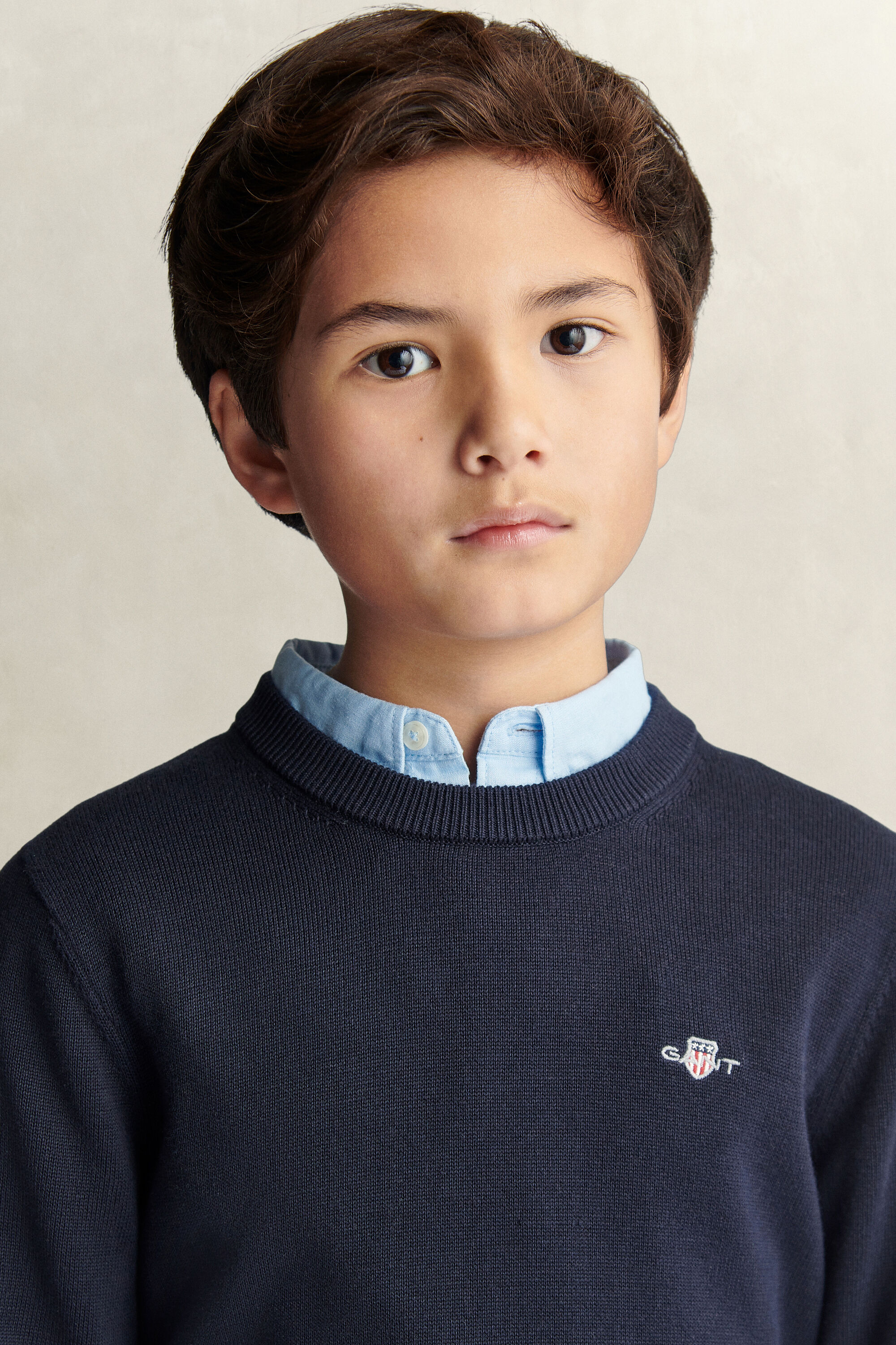 Teen Boys Shield Pullover