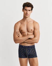3er-Pack Paisley Boxershorts mit Print in Geschenkbox